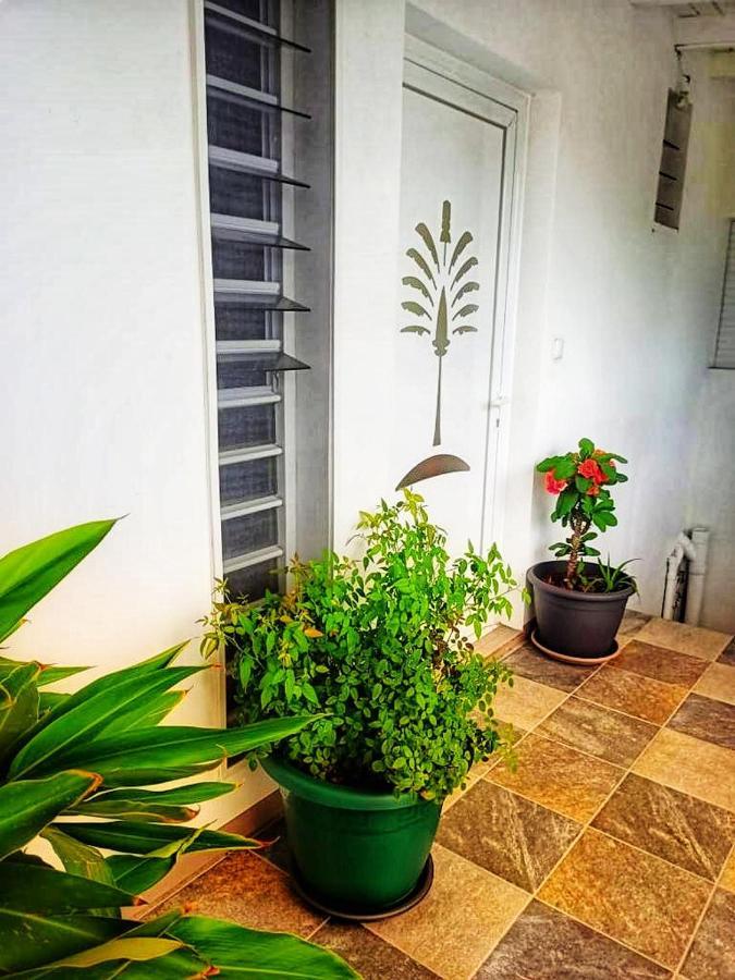 Apartamento Le Balisier Saint-Francois  Exterior foto